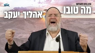 ״מה טובו אהליך יעקב משכנותיך ישראל״ 🫂 הרב ברוך רוזנבלום פרשת בלק תשפ"ב מבקשי ה' אלעד