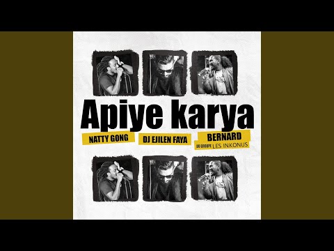 APIYE KARYA