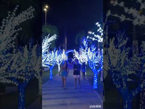 🌲Águas de Lindóia SP