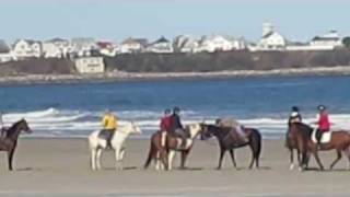 preview picture of video 'Hampton Beach New Hampshire Horses at Play video'