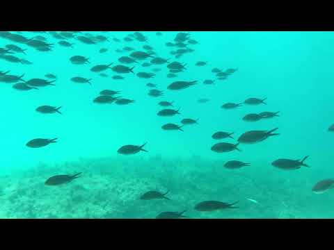 Gajac beach under the sea - Island of Pag - Croatia