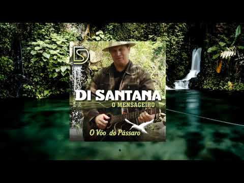 O vôo do pássaro - Di Santana O MENSAGEIRO