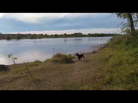 puerto vilelas sobran los lugares para la pesca!!!🎣🎣🎣🎣🥰🥰🥰