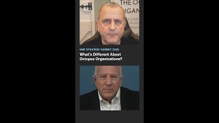 What's Different About Octopus Organizations?
