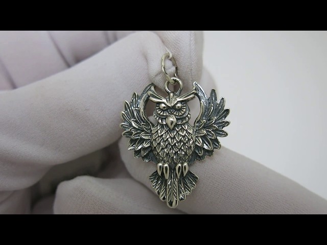 Срібний кулон "Сова" 3100605 Відео огляд