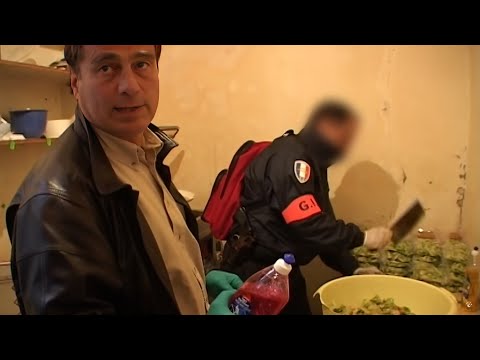 , title : 'La sécurité alimentaire : dans les arrières-cuisines de France | Documentaire