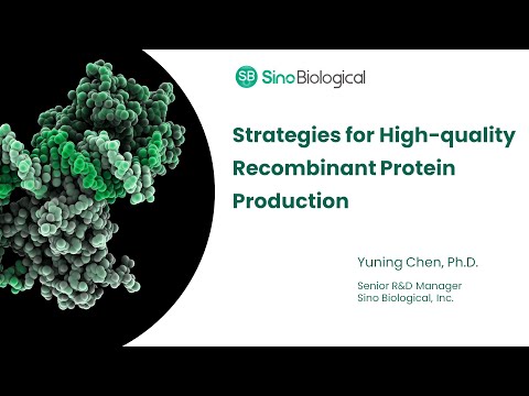 Strategies for High-quality Recombinant Protein Production