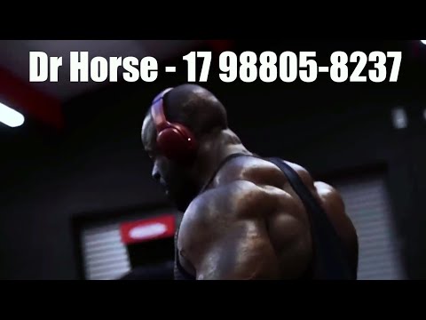 Tio Style - Dr. Horse 2 (Prod Liip Beats)