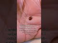 Ella Fitzgerald singing "Lady Bug"