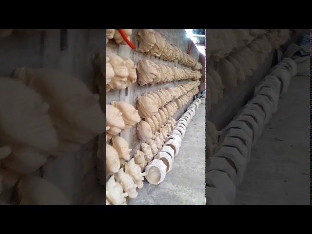 Vídeo relacionado con Boland - Máscara de látex para adultos para fiestas de polillas y carnaval, abuelos, accesorio para disfraces para fiestas de polillas