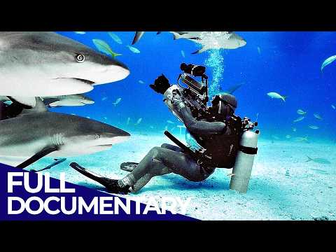 Free Documentary - Ocean and Free Documentary - Nature