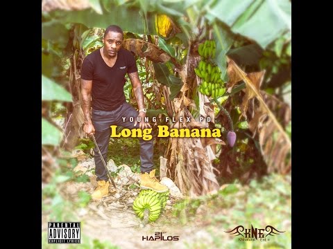 YOUNG FLEX PD - LONG BANANA 2015 (KNatural Entertainment)