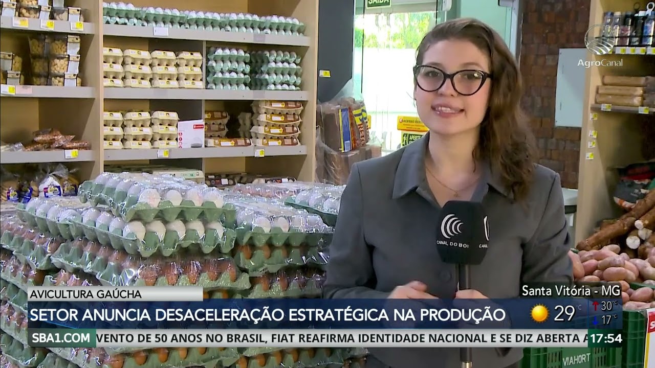 Produção de frango e ovos desacelera no Rio Grande do Sul