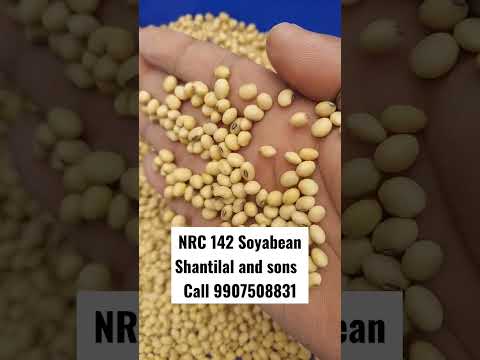 Soybean NRC 142