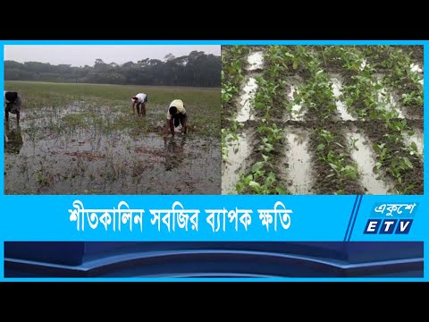 ঘুর্নিঝড় জাওয়াদের প্রভাবে শীতকালিন সবজির ব্যাপক ক্ষতি