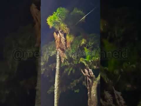 São Lourenço do Sul, 09 de dezembro, 21 horas de terça feira, neste momento chuva fraca.