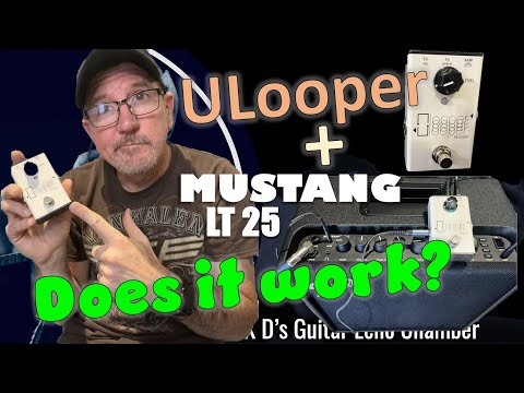 Finally! Looping with Fender LT25 Amp | ULooper: A quick review and demo