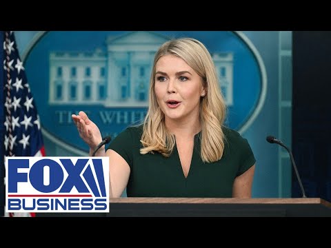 Leavitt goes scorched earth on left-wing reporter during fiery briefing