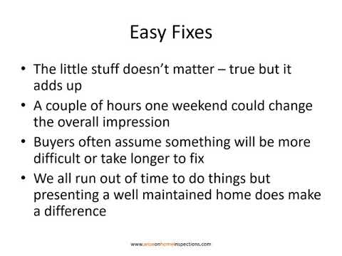 Fireside Chats with Trish - Special Edition: What Sellers can do to help a Home Inspection go well.