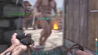 ARK