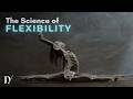 Why Most Stretches Don T Work Science Backed Tips For Dancers To Gain More Flexibility