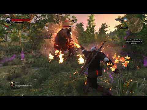 The Witcher 3 Igni Firestream OP