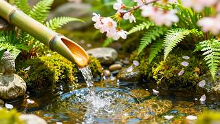 Bamboo Water Fountain in Nature | A Healing Time to Relieve Fatigue