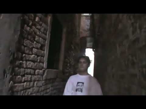 SALUKI (HORRORKING) - POP STAR