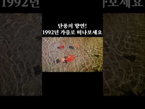 1992년 가을! 설악산부터 내장산까지 절경의 향연