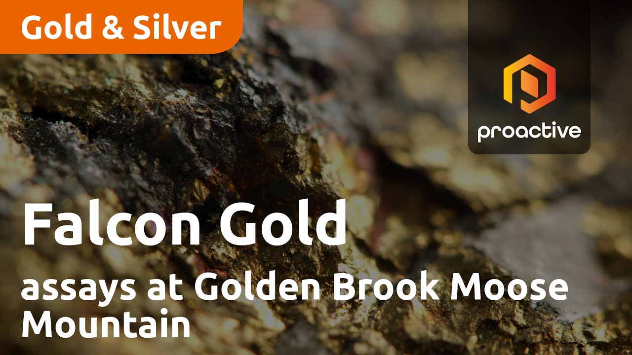 Falcon Gold/Marvel Alliance announces assays at Golden Brook Moose Mountain Project