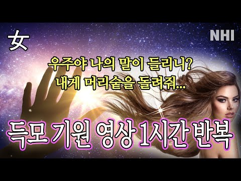 득모 기원 플레이리스트 1시간 반복ㅣ뉴헤어ㅣ여자탈모