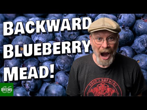 Backwards Blueberry Mead?  AKA Fix a Stalled Mead
