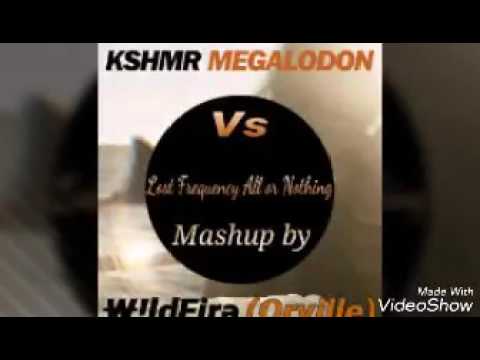All or nothing(Lost frequency) vs Megalodon(Kshmr) Mashup by ₩!ldFirə(Orville)
