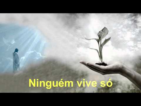 Semente video
