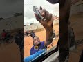 Fake Glass Repair Scam 😳