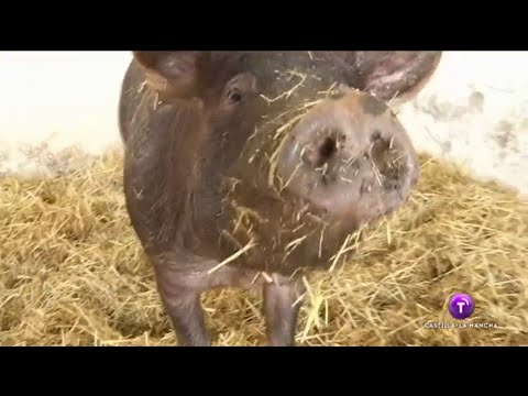 Corrupto espera su San Martín