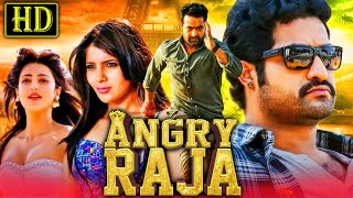Angry Raja (HD) Romantic Hindi Dubbed Movie  Jr N