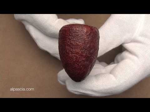 pipa Lasse Skovgaard 053