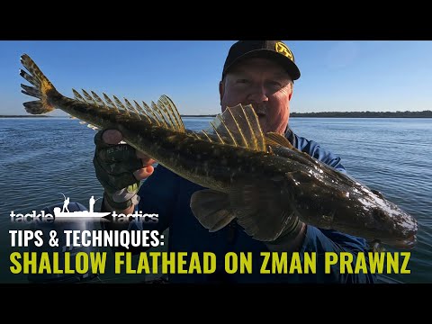 How to Catch Flathead on Soft Plastics Fishing the Shallows - ZMan 2.5" PrawnZ