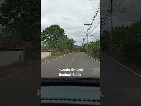 Povoado de Cutia, Boninal, Bahia