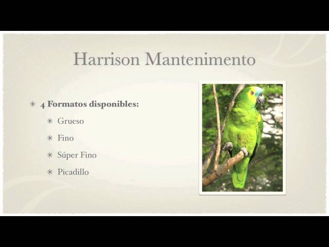 Vídeo relacionado con HARRISON Pienso Fino Alta Energia para Pajaros, 454 g