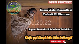 Download lagu SUARA PANGGIL WALET OPEN PROTECT‼️TERBAIK VERSI KONSULTAN  DI VIETNAM ‼️@BerkatWalet mp3