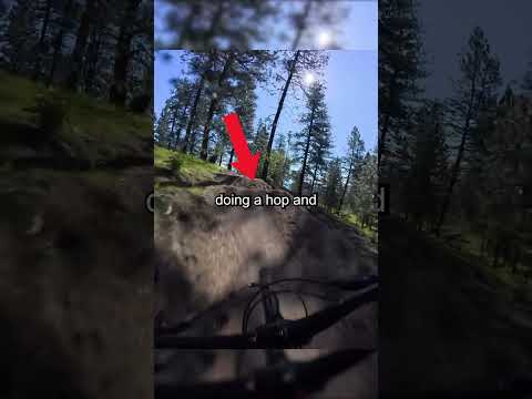 Hungry Biker On A Trail