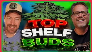 Competition Winning Cannabis Lessons from This Years DGC Cup