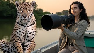 Jaguars of the Pantanal: come with me to explore the world's largest wetland!