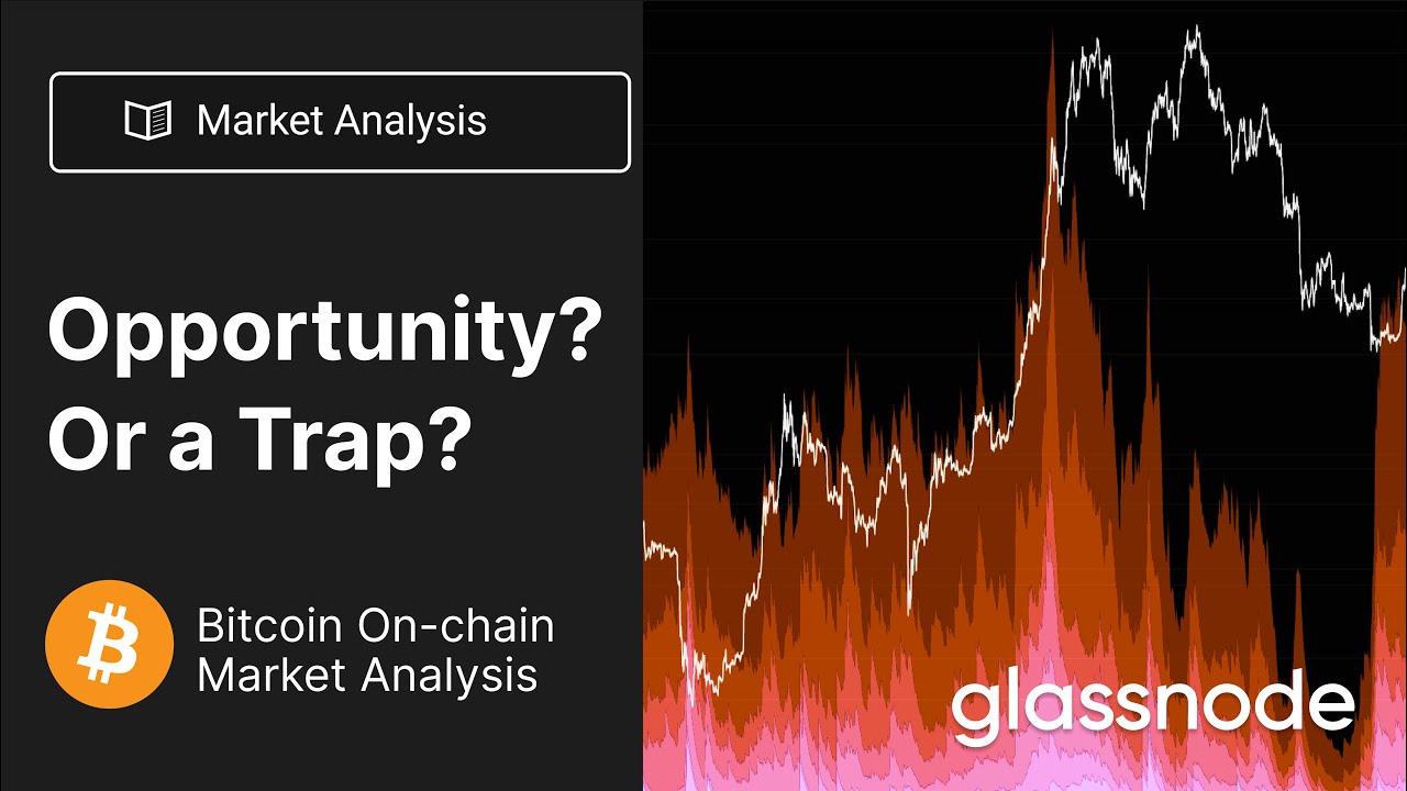 The Week On-chain - Opportunity? Or a Trap? - Week 4 2023 (Bitcoin Onchain Analysis)