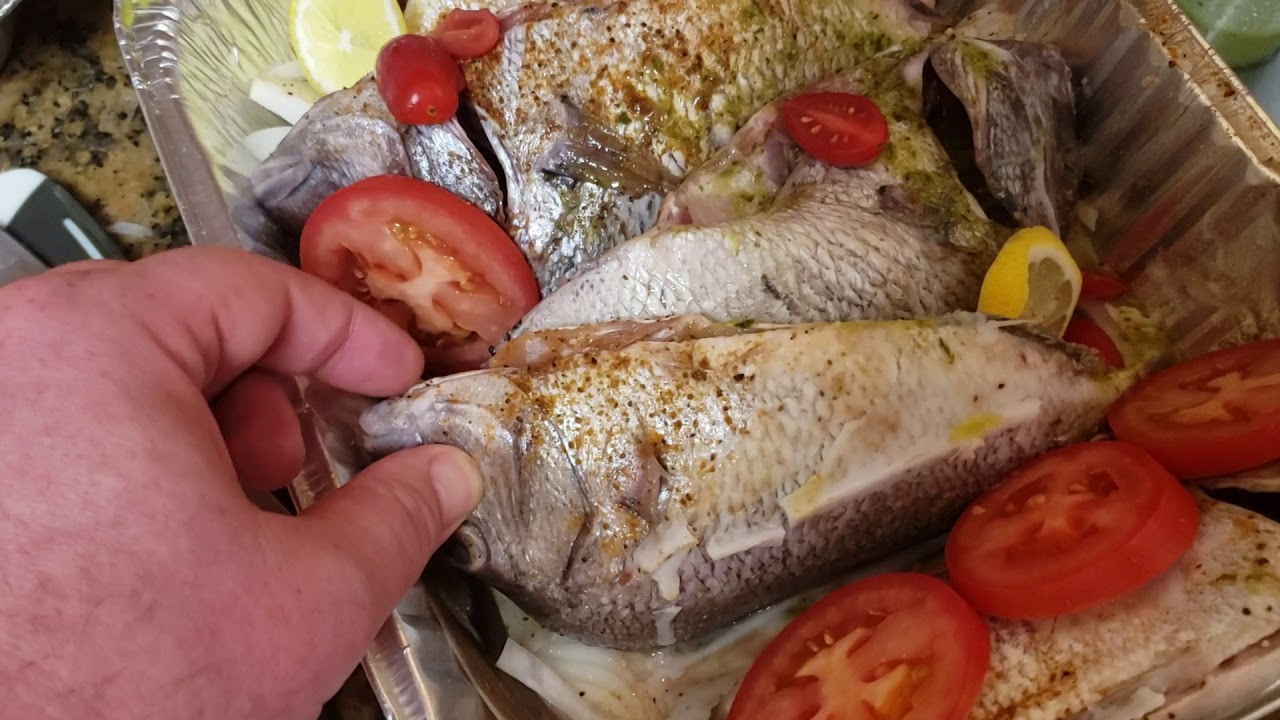 שישי אצל צבי דגי ים טריים בניו יורק - דייג אוהב דגים?