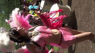 飛鳥山公園でサンバ　ピンクちゃん