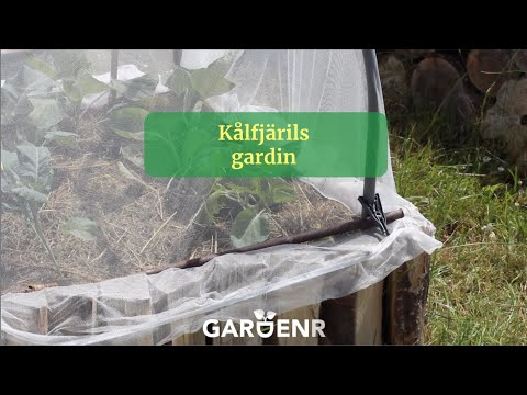 Cabbage Butterfly Curtain - Gardenhacks by GardenR