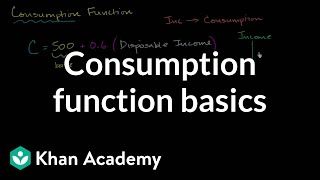 Consumption Function Basics